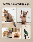 EU Plug Pet Treats Maker 10 Types of Homemade Fresh Treats & Foods for Dogs Cats & Small Pet Feeder DIY Pet Cooking Feeder