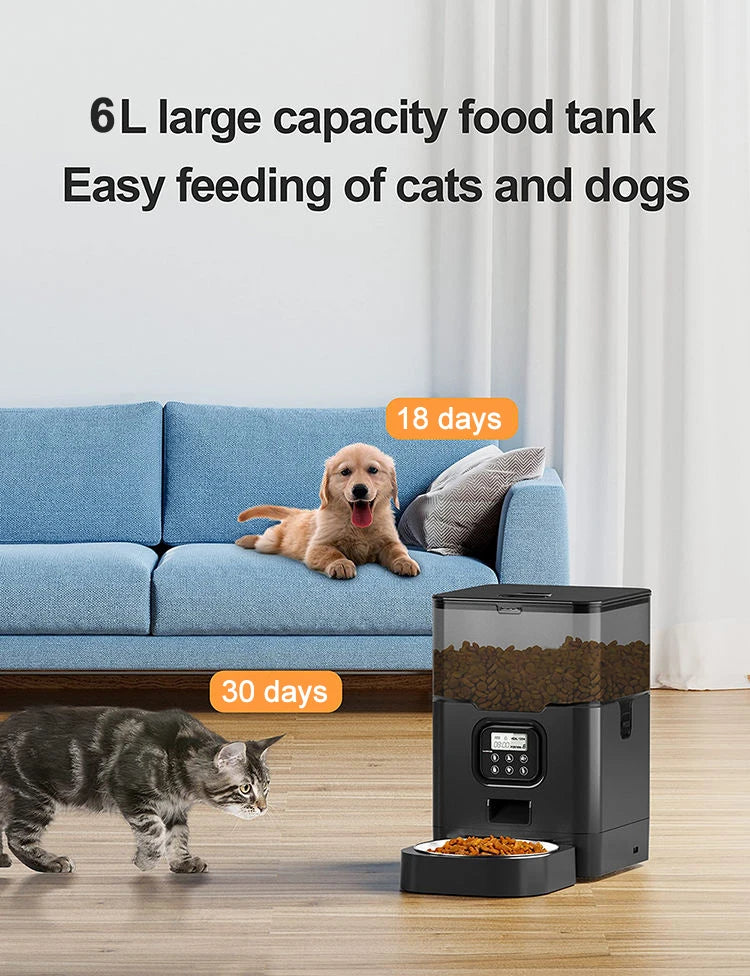 6L Automatic Cat Feeders Timed Pet Feeder for Cats with Dry Food Dispenser Button Control 10s Voice Recorder Smart Pet Feeder